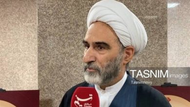 روایت عضو مجلس خبرگان از روش اجتهادی آیتالله شبیری زنجانی / اخبار لرستان - اخبار استانها