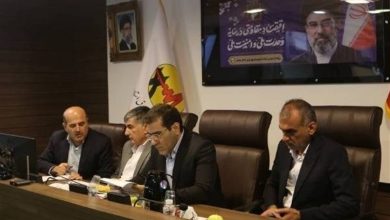 77 مرکز استخراج غیرمجاز رمزارز در استان بوشهر شناسایی شد / اخبار بوشهر - اخبار استانها