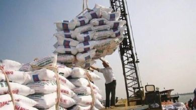 تعیین سقف قیمتی ارز برای واردات اقلام اساسی؛ جزئیات ابلاغیه وزارت جهاد کشاورزی / سقف قیمتی ارز , واردات اقلام اساسی , وزارت جهاد کشاورزی , نهادههای دامی , ذرت