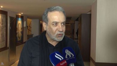 عراقچی: اعضای بریکس بر تقویت ارزهای ملی تاکید دارند / بریکس , ارزهای ملی , هند , اقتصاد , توسعه