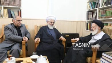 درویشامیری: مجذوب ادب، آرامش و سادهزیستی آیتالله شبیری هستم / اخبار زنجان - اخبار استانها