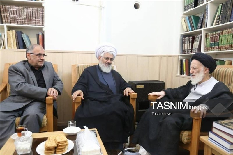 درویشامیری: مجذوب ادب، آرامش و سادهزیستی آیتالله شبیری هستم / اخبار زنجان - اخبار استانها
