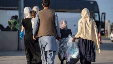 اخراج بیش از 104 هزار تبعه غیرمجاز از استان فارس / اخبار فارس - اخبار استانها