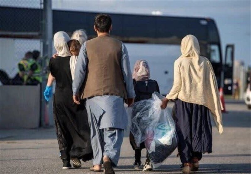 اخراج بیش از 104 هزار تبعه غیرمجاز از استان فارس / اخبار فارس - اخبار استانها