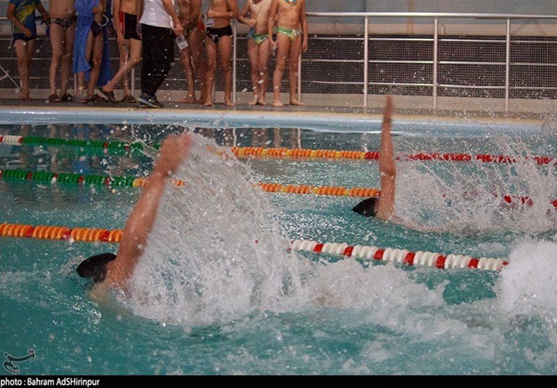مشهد میزبان جام آزادی شنا؛ تداوم میزبانی رویدادهای ملی در خراسان رضوی / اخبار خراسان رضوی - اخبار استانها