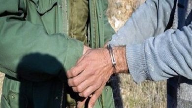 دستگیری شکارچی غیرمجاز در آوج / اخبار قزوین - اخبار استانها