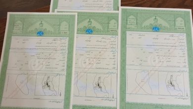 صدور 2200 سند تکبرگی برای اراضی کشاورزی زهک / اخبار سیستان و بلوچستان - اخبار استانها