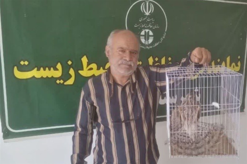 اقدام تحسینبرانگیز شهروند مه ولاتی در نجات یک بهله دلیجه / اخبار خراسان رضوی - اخبار استانها