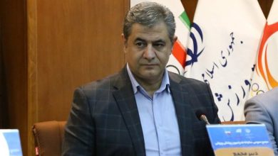 حمایت درمانی از ورزشکاران آسیبدیده در دستور کار فدراسیون پزشکی ورزشی / اخبار مرکزی - اخبار استانها
