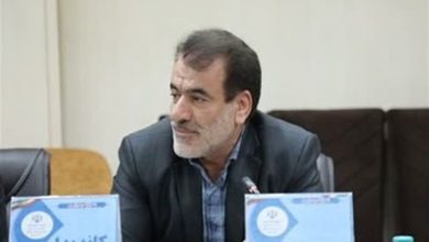 تغییر رئیس هیئت کشتی شهرستان همدان برای اجرای آییننامه وزارت ورزش / اخبار همدان - اخبار استانها