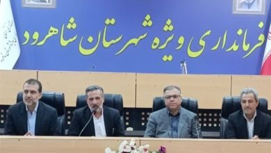 فرهنگ و هنر شاهرود نیازمند برنامهای ویژه برای حفظ نشاط اجتماعی است / اخبار سمنان - اخبار استانها