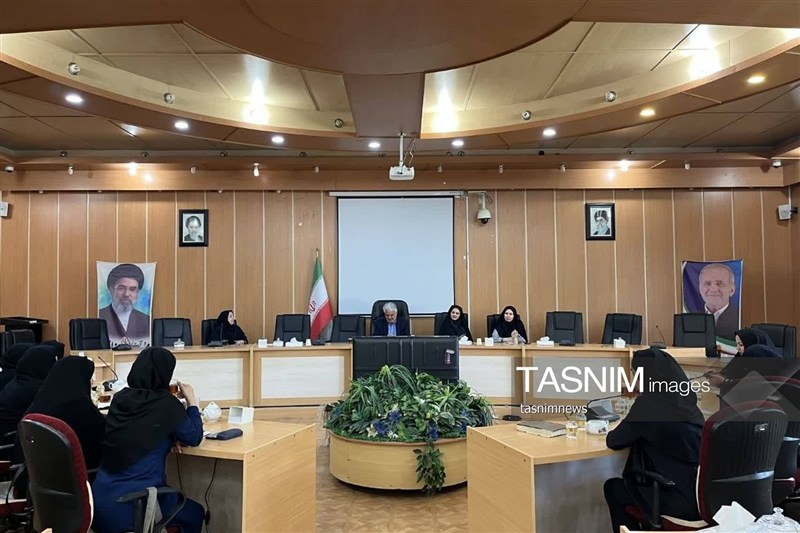 نگاه سنتی به نقش زنان در خدمترسانی باید تغییر کند / اخبار کهگیلویه و بویراحمد - اخبار استانها