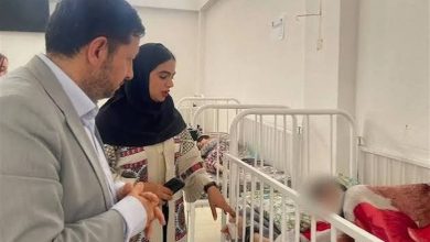 حمایت دستگاه قضایی استان بوشهر از مراکز توانبخشی / اخبار بوشهر - اخبار استانها