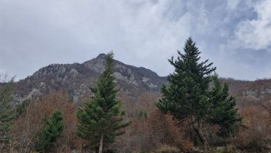 کاهش محسوس دما و وزش باد در راه کردستان است / اخبار کردستان - اخبار استانها