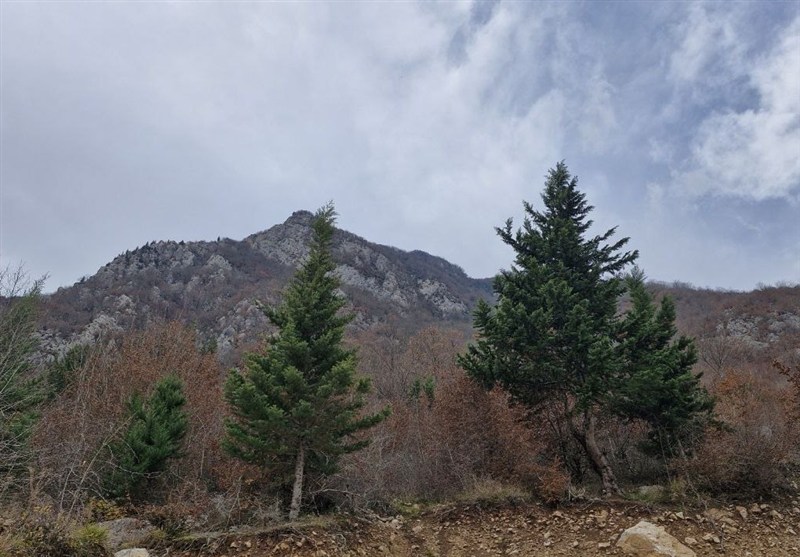 کاهش محسوس دما و وزش باد در راه کردستان است / اخبار کردستان - اخبار استانها