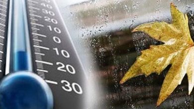 کاهش نسبی دما طی هفته آینده/ اختلاف 39.4 درجهای دمای استان کرمان / اخبار کرمان - اخبار استانها