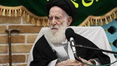 بازگشت به متن و تاریخ؛ درآمدی بر مکتب فقهی آیتالله شبیری زنجانی / اخبار قم - اخبار استانها