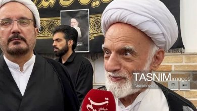 آیتالله شبیری زنجانی از نمونههای نورانی حوزه علمیه قم بود+ فیلم / اخبار قم - اخبار استانها