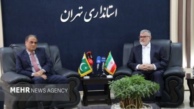 سرمایهگذاران پاکستانی با فرصتهای موجود در تهران آشنا می شوند