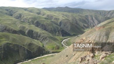 ناکامی شکارچیان در پناهگاه حیاتوحش انگوران / اخبار زنجان - اخبار استانها