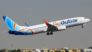 جزئیات جدید حادثه هواپیمای فلای دبی؛ از درگیری خونین تا احتمال ربایش