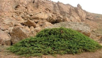 ثبت روز جهانی غار/ شناسنامه 40 غار در استان اردبیل تهیه شده است / اخبار اردبیل - اخبار استانها