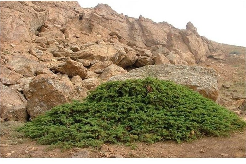 ثبت روز جهانی غار/ شناسنامه 40 غار در استان اردبیل تهیه شده است / اخبار اردبیل - اخبار استانها