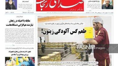 مرور مطبوعات زنجان در 29 شهریور/طعم گس آلودگی زیتون / اخبار زنجان - اخبار استانها