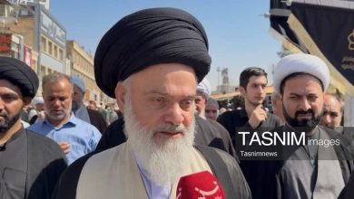 میراث علمی و اخلاقی آیتالله شبیری زنجانی باید حفظ شود+ فیلم / اخبار قم - اخبار استانها