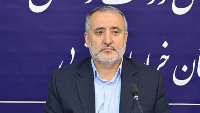 اجازه نمیدهیم دلالان از دسترنج زرشککاران سوءاستفاده کنند / اخبار خراسان جنوبی - اخبار استانها
