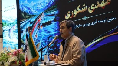 تولید 740 هزار تن آبزیان پرورشی در کشور / اخبار چهارمحال و بختیاری - اخبار استانها