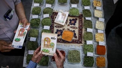 گشایش نمایشگاه صنایع تبدیلی و تکمیلی کشاورزی و غذایی در قائمشهر / اخبار مازندران - اخبار استانها