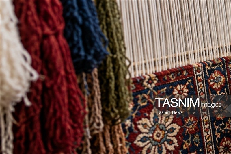 ابریشم گیلان؛ از توتستان تا کارخانه، چرا زنجیره ارزش کامل نمیشود؟ / اخبار گیلان - اخبار استانها