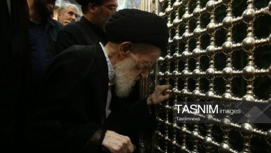 مطالعات رجالی مرحوم آیتالله شبیری زنجانی زبانزد دانشمندان شیعه بود / اخبار قم - اخبار استانها