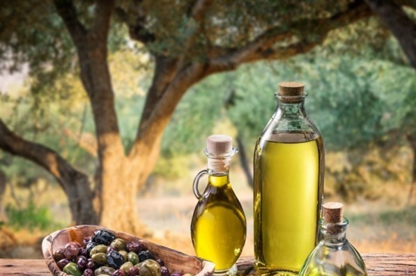 سقوط صنعت زیتون در زنجان/ نابودی زنجیره از صنایع تبدیلی تا باغدار / اخبار زنجان - اخبار استانها