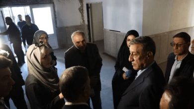 آخرین جزئیات بازسازی ورزشگاه آزادی؛ بتنریزی و مقاومسازی گسترده در بخشهای زیر سکوها / ورزشگاه آزادی , بازسازی ورزشگاه , محمدجعفر قائمپناه , بتنریزی , مقاومسازی