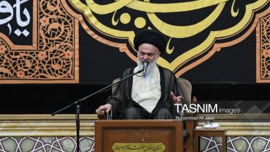 جلسات علمی آیتالله العظمی شبیری زنجانی محل تربیت شاگردان بود / اخبار قم - اخبار استانها