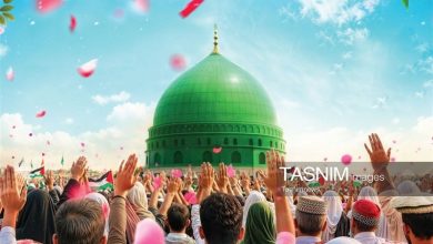 فعال فرهنگی روسیه: اتحاد مسلمانان زمینهساز پیروزی امت اسلامی است / اخبار قم - اخبار استانها
