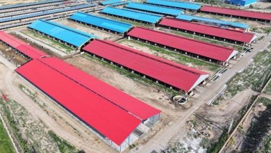 بحران در صنعتِ شرق؛وقتی مسکنهای استانی، حریف دردِ ملی نمیشوند / اخبار خراسان رضوی - اخبار استانها