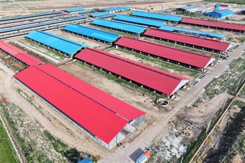 بحران در صنعتِ شرق؛وقتی مسکنهای استانی، حریف دردِ ملی نمیشوند / اخبار خراسان رضوی - اخبار استانها