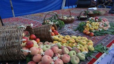 ظرفیتهای کشاورزی اسدآباد چشمانتظار سرمایهگذاری و توسعه / اخبار همدان - اخبار استانها