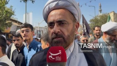 آیتالله شبیری زنجانی الگوی علم و عمل برای حوزههای علمیه بود+ فیلم / اخبار قم - اخبار استانها