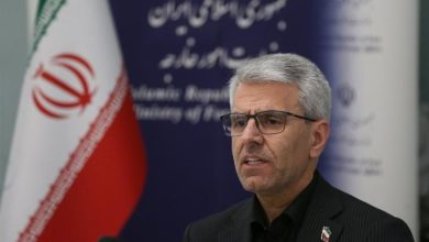 پاسخ بقائی به دروغپردازیهای واشنگتن: 'آوینا' گواه جنایت آمریکاست / اخبار فارس - اخبار استانها