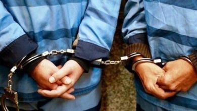 دستگیری سارقان و اخلالگران نظم عمومی در چند عملیات پلیس لرستان / اخبار لرستان - اخبار استانها