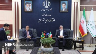 عزم جدی ایران و پاکستان برای توسعه همهجانبه روابط