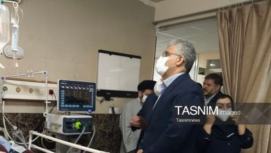 عیادت نماینده وزیر بهداشت از آیتالله شبیری زنجانی / اخبار قم - اخبار استانها