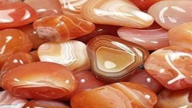 خور؛ جایی که کویر گنجهایش را به دست مردم سپرد / اخبار خراسان جنوبی - اخبار استانها