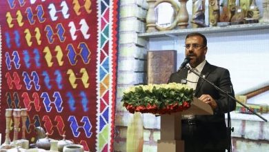 استاندار فارس: توسعه گردشگری، اولویت اول استان است / اخبار فارس - اخبار استانها