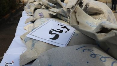 از 98 کیلو تریاک تا 42 سارق؛ ضرب شست پلیس در خراسان جنوبی / اخبار خراسان جنوبی - اخبار استانها