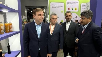 برنامهریزی برای صادرات مستقیم میگوی بوشهر به بازار روسیه / اخبار بوشهر - اخبار استانها